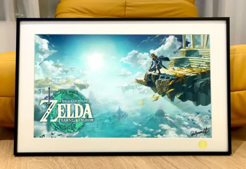 Link Decorative Painting - The Legend of Zelda : Tears of the Kingdom - Xingkong Studio