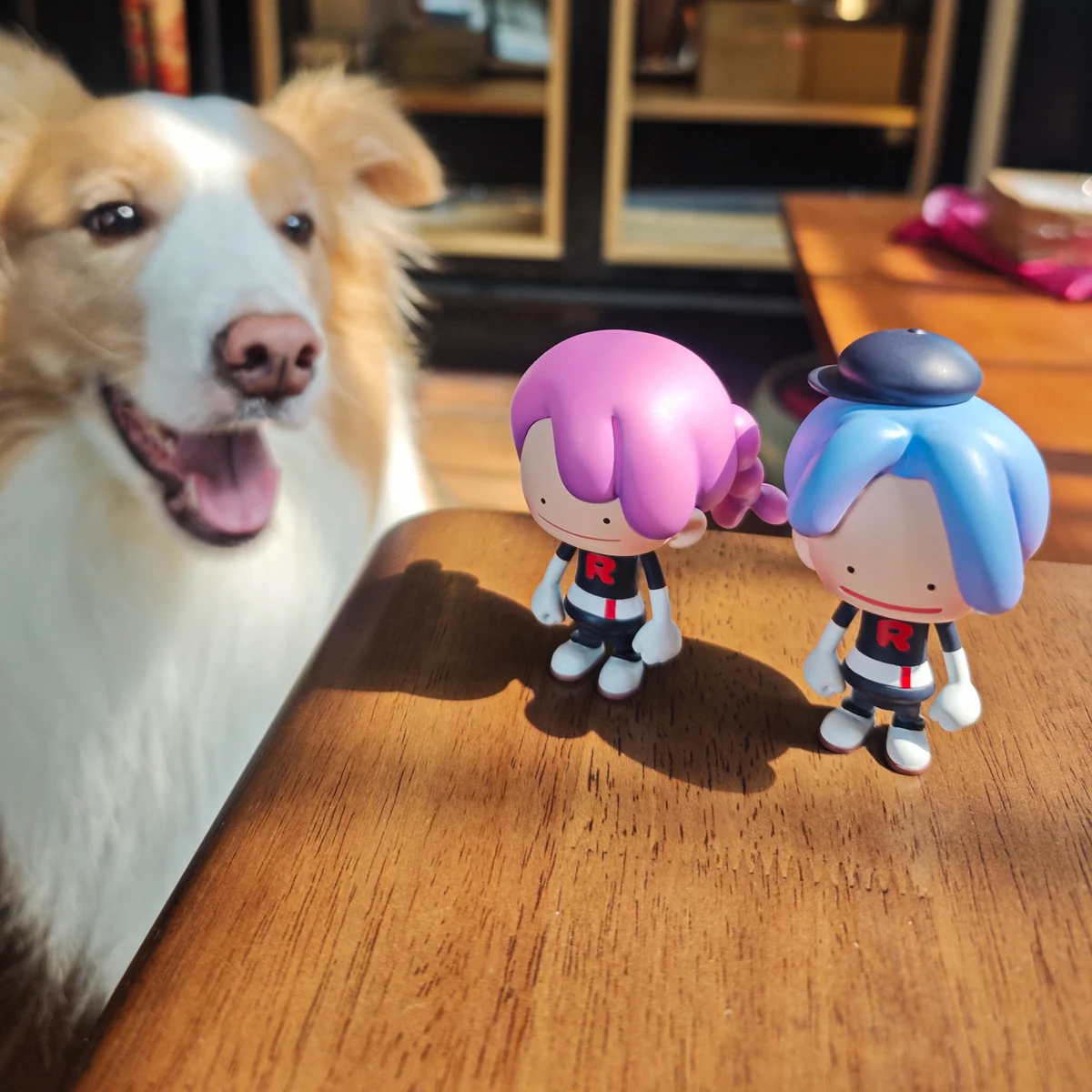 "Exclusive GADGET Studio Pokémon Ditto Team Rocket transformation resin figures, detailed from multiple angles, highlighting their whimsical chibi."