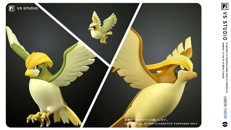 1/20 Scale World Zukan Evolution of Pidgeot - Pokemon Resin Statue - VS Studio - Image 4